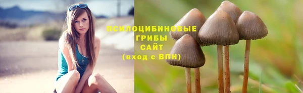 ПСИЛОЦИБИНОВЫЕ ГРИБЫ Семилуки